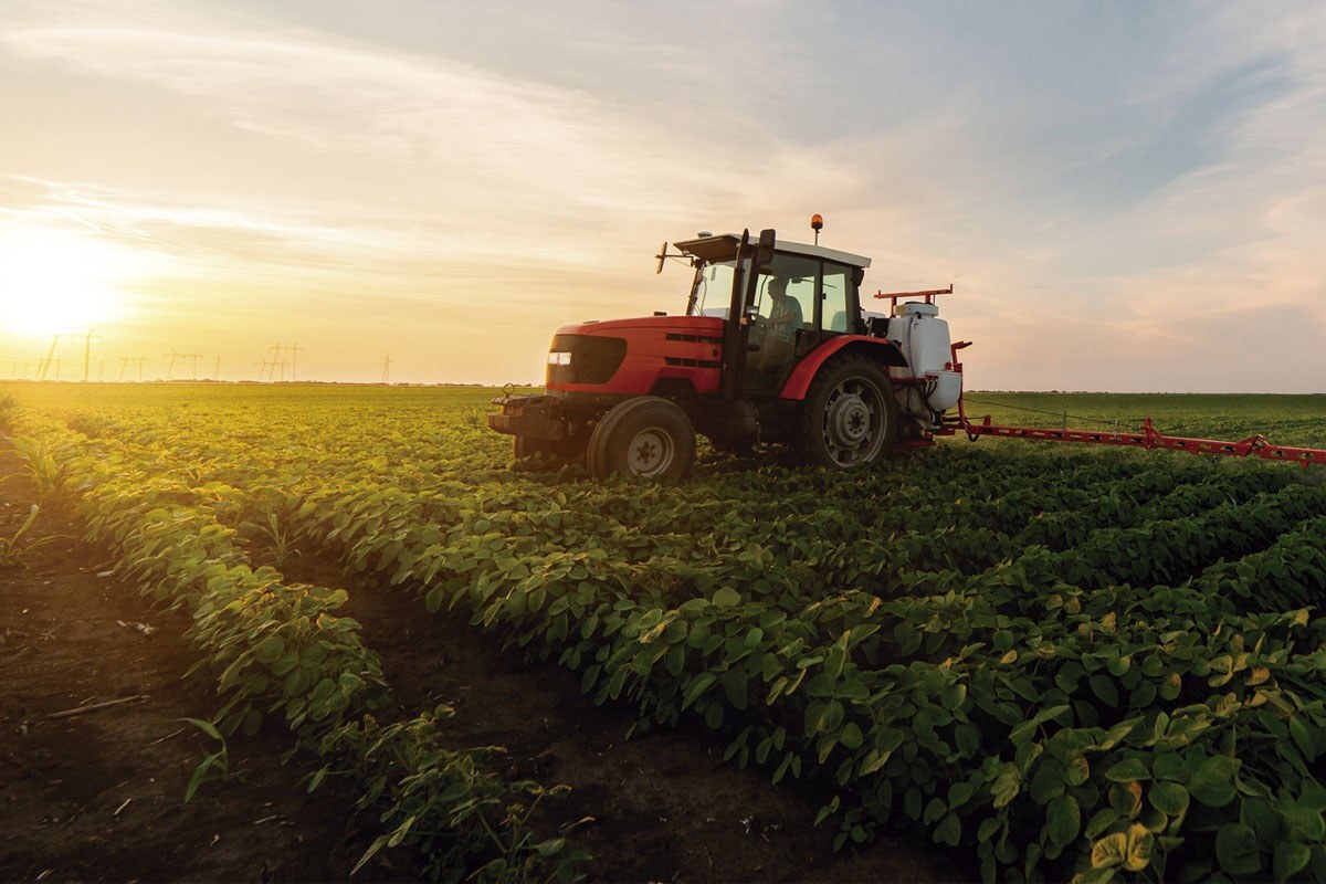Veículo roçadeira no meio de uma plantação